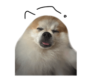 880503025