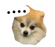 880503027