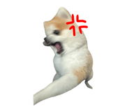 880503028
