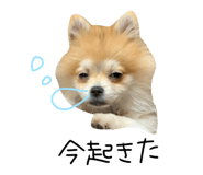 880503029