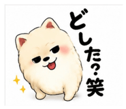 880503057