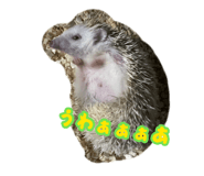 880503137