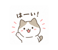 880503145