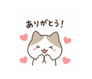 880503146