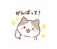 880503148