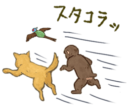 8805034