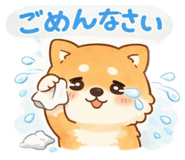 880503941