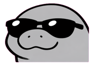 880508038