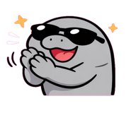 880508046