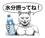 880528705