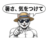 880528706