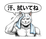 880528709