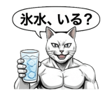 880528710