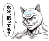 880528711