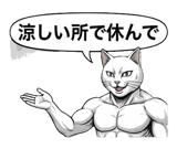 880528712