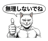 880528713
