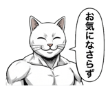 880528716