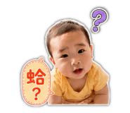 880542446