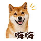 880545450