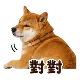 880545460