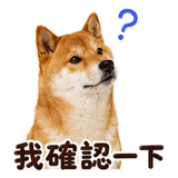 880545462