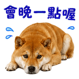 880545465