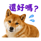 880545471
