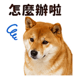 880545481