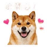 880545483