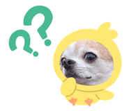 880546385