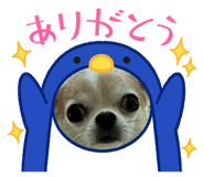 880546394