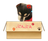 880546504
