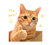 880555025