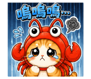 880555507
