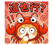 880555516