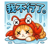 880555517