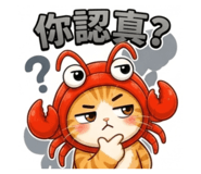 880555519