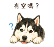 880557036