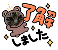 880560787