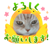 880560789