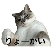 880560924