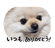 880561711