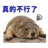 880562842