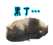 880563791