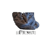 880566132