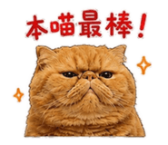 880566241