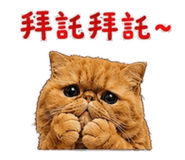 880566245