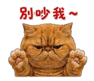 880566260