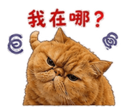 880566261