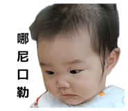 880568291